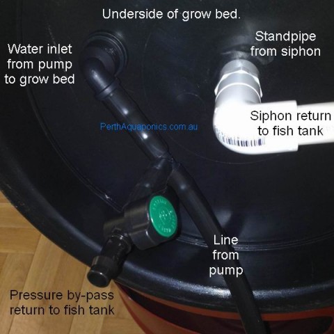 Simplest, Most Adaptable Siphon for Aquaponics Systems 